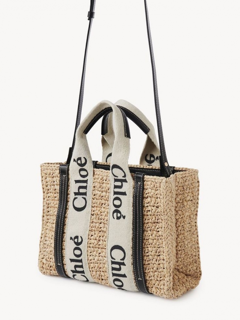 Chloe Small Woody Crossbody Väska Bruna | CHE-SR13625