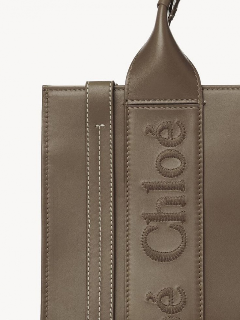 Chloe Small Woody Toteväska Gröna | CHE-SR13339