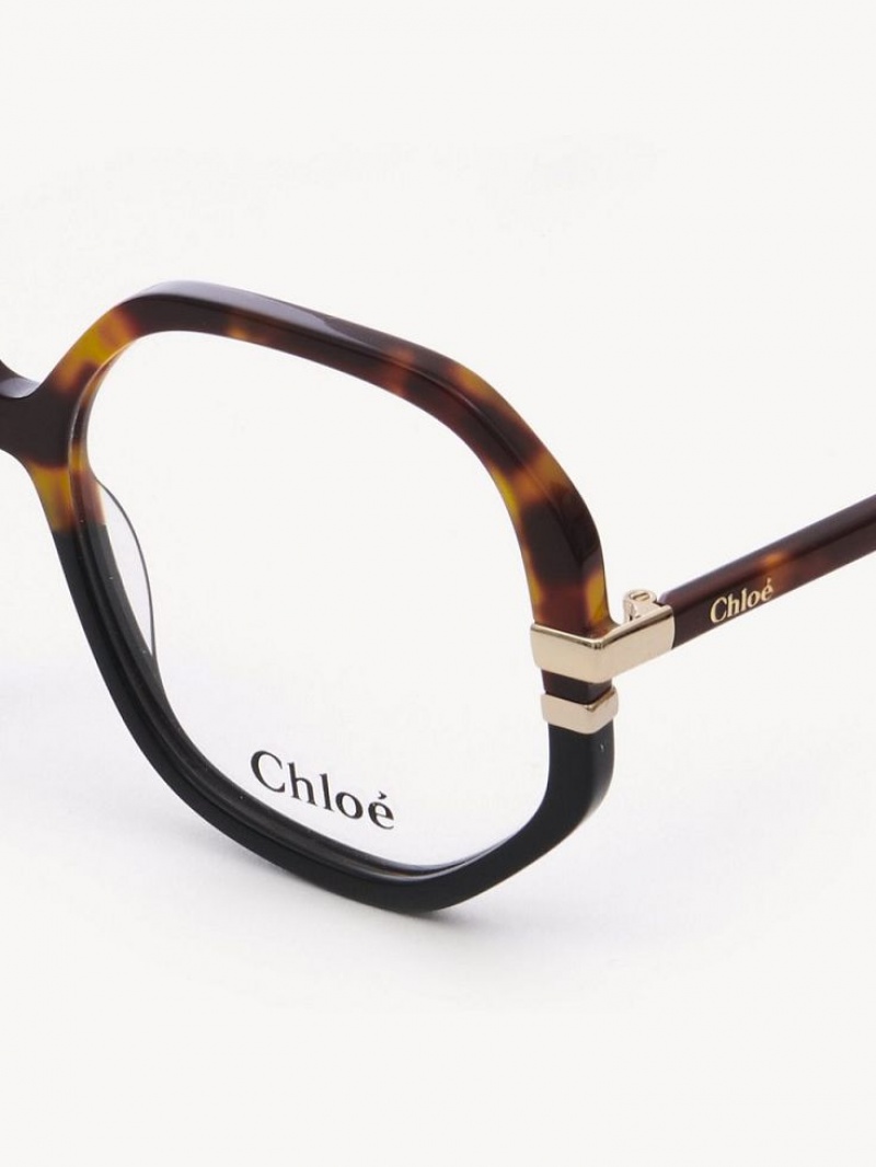 Chloe West Glasögon Havana | CHE-SR14584