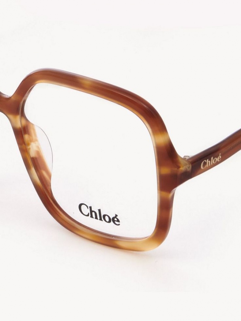 Chloe Zelie Glasögon Ljus | CHE-SR14585